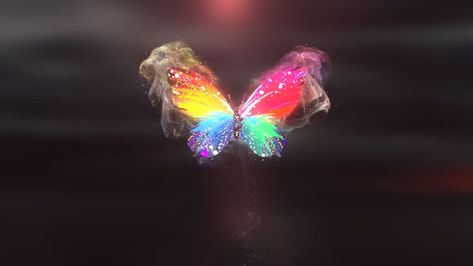 Butterfly Explosion, Butterfly Colorful, Useful Projects, Adventure Trailers, Butterfly Logo, Premiere Pro Cc, Page Borders, Logo Reveal, Colorful Butterfly