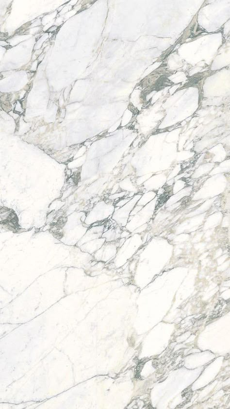 Arabescato Marmi, white marble effect porcelain tiles Marble Texture Seamless, Statuario Marble, Arabescato Marble, Indoor Tile, Material Textures, Materials And Textures, Stone Texture, Marble Tiles, Marble Texture