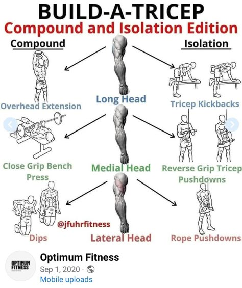 Effective Workout Plan, Tricep Kickback, Gym Buddy, Gym Workout Chart, Gym Workouts For Men, First Things First, Weight Training Workouts, Workout Chart, Triceps Workout