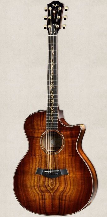 Voting on the Most Beautiful Acoustic Guitars Ever - #songwriting #piano #guitar #guitarist #guitars #guitarlessons #guitarlessonsonline #guitarlessonsforbeginners #music Fretboard Inlay, Custom Acoustic Guitars, Taylor Guitars Acoustic, Lucas Lima, Taylor Guitars, Taylor Guitar, Learning Guitar, Guitar Lessons For Beginners, Guitar Photography