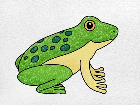 Want to find out how to draw a frog drawing easily? Frog Easy Drawing, Amphibians Drawing, Frog Pencil Drawing, Easy Frog Drawing, Frog On Leaf Drawing, How To Draw A Frog, How To Make A Frog Drawing, Frog Drawing How To, How To Draw Cartoon Frog