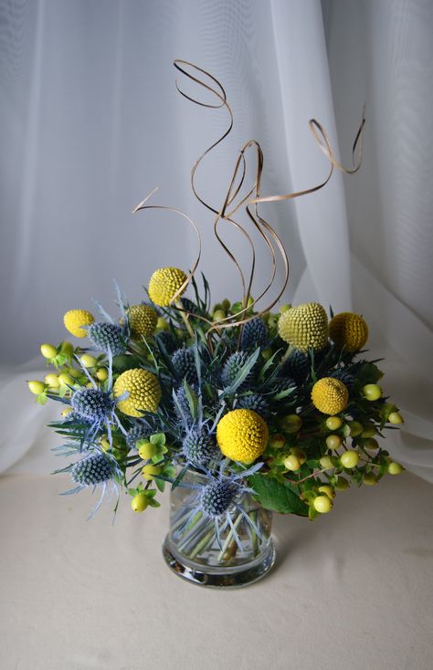 A unique centerpiece of yellow Craspedia Billy Balls and blue Thistle accented with yellow Hypericum and a swirl of natural Ting Ting Light Blue And Yellow Flower Arrangements, Billy Balls Centerpiece, Yellow And Blue Centerpieces, Blue And Yellow Floral Arrangements, Craspedia Arrangement, Yellow Floral Arrangements, Blue And Yellow Flower Arrangements, Fall Urn, Yellow Flower Arrangements