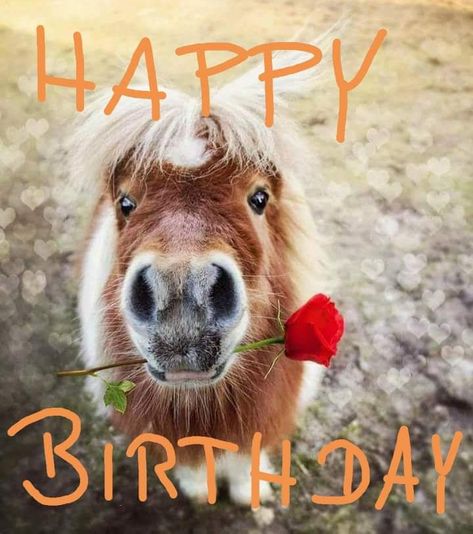 Happy Bday Pics, Lief Vir Jou, Happy Birthday Wishes Pics, Image Love, Funny Happy Birthday Song, Birthday Wishes Pics, Happy Birthday Kids, Birthday Wishes Greetings, Birthday Greetings Friend