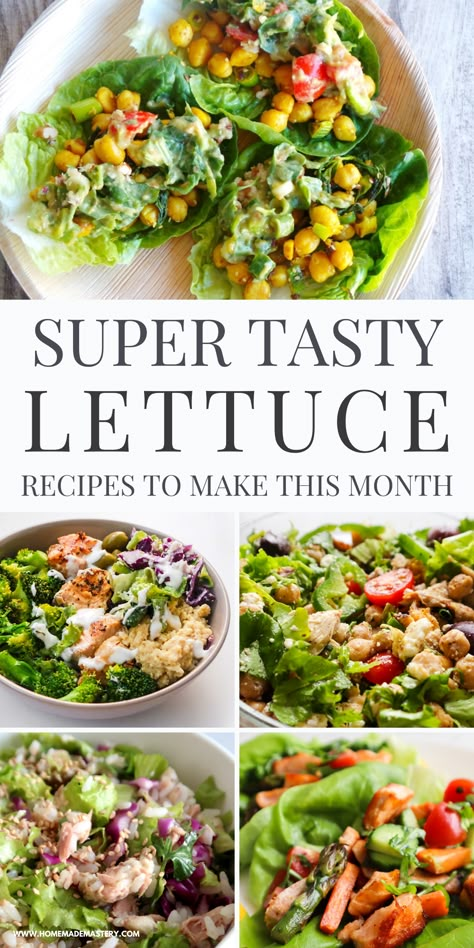 From chicken lettuce salad to light and flavorful lettuce wraps - this collection of simple, tasty and healthy lettuce recipes has everything you need to make the most of this leafy green! Chicken Lettuce Salad, Leaf Lettuce Recipes, Romaine Lettuce Recipe, Buttercrunch Lettuce, Healthy Dinner Salads, Lettuce Recipes, Lettuce Salad Recipes, Leaf Lettuce, Vegetable Salads