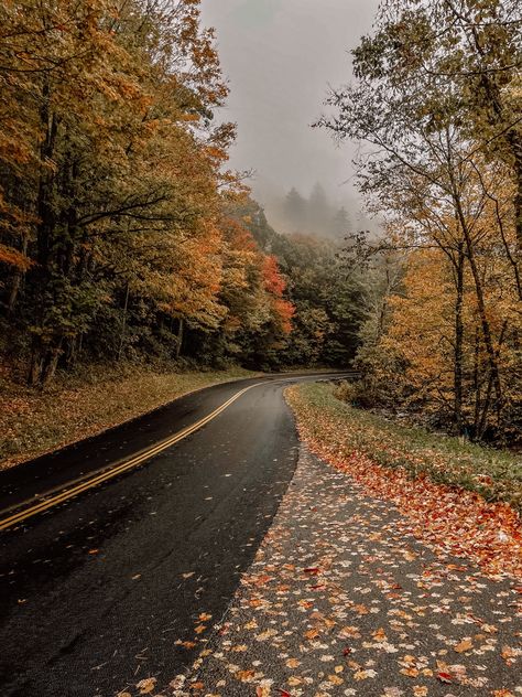 📍gatlinburg, tn Smokey Mountains Tennessee Fall, Tennessee Fall, Gatlinburg Tennessee Aesthetic, Smoky Mountains Tennessee, Gatlinburg Tennessee, Gatlinburg Tn, Mountain Wallpaper, Mountain Travel, Fall Hiking