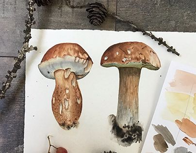 Marina Potanina on Behance Autumn Forest Illustration, Mushroom Watercolor, Wet On Wet Technique, Watercolor Lesson, Watercolor Mushroom, Paper Cut Artists, Brown Mushroom, Paint Watercolor, Watercolor Subjects