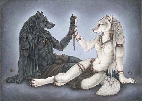 The lighter side of werewolves Female Wolf, Caine Husky, Alpha Werewolf, Werewolf Art, Wolf Love, Wolf Pictures, Wolf Spirit, Wolf Art, Arte Animal