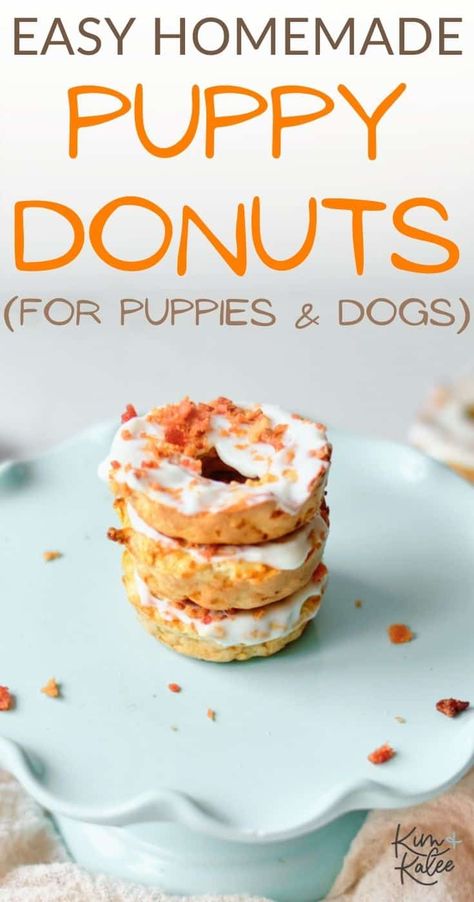 These cute homemade puppy donuts are an easy dog treat for all ages! Our pups went wild for these iced donuts, and we love that they only use natural ingredients! Dog Donuts Recipe, Donuts For Dogs, Greek Yogurt Oatmeal, Dog Treats Recipe, Oatmeal Yogurt, Dog Treat Recipe, Dog Treats Homemade Easy, Easy Dog Treat Recipes, Baby Puppy