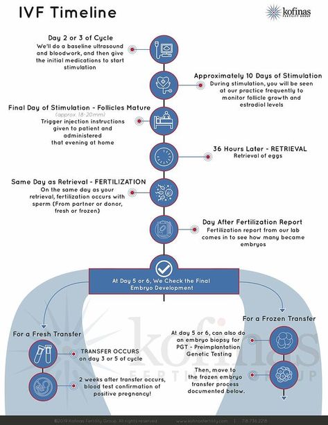 Frozen Embryo Transfer Timeline, Ivf Implantation, In Vitro Fertilization Process, Conception Calendar, Ivf Calendar, Ivf Timeline, Ivf Preparation, Fertility Nurse, Fertilization Process