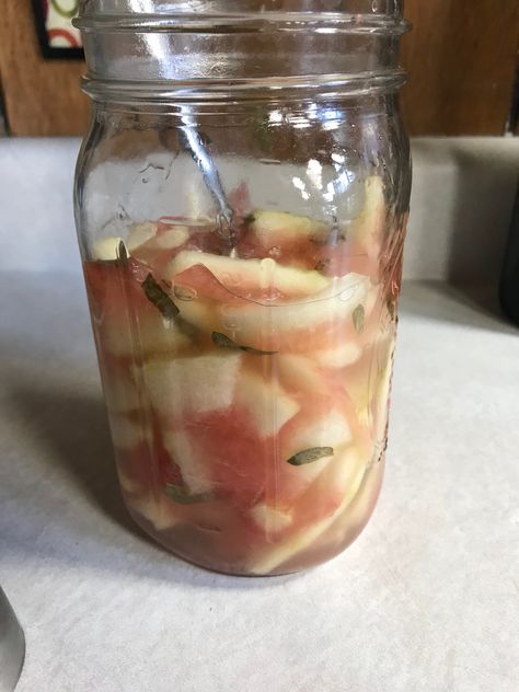 Easy at-home ferment recipe using watermelon rinds. Did you know the rinds have potent health benefits? Learn how to make this easy superfood recipe! Fermented Watermelon, Watermelon Rind, Superfood Recipes, Watermelon Recipes, Fermenting, Kefir, Recipe Using, Sprouts, Health Benefits