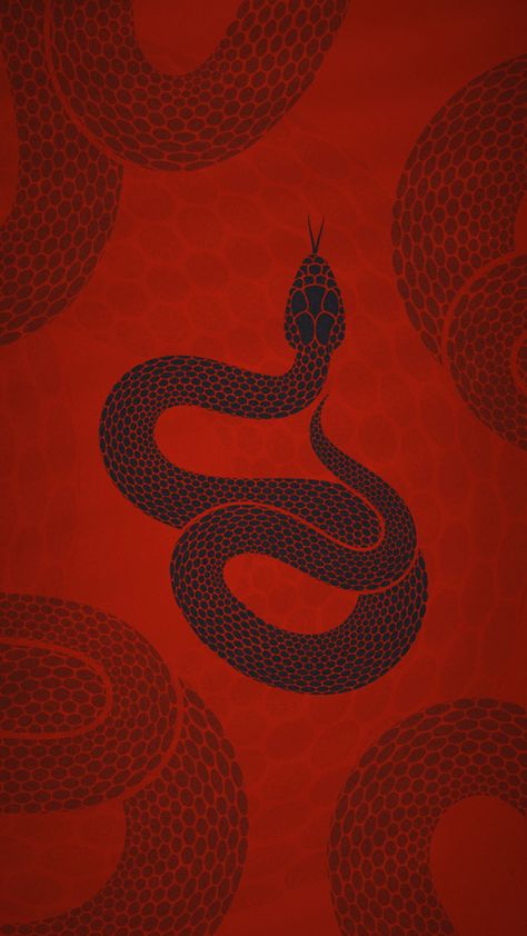 Red Snake Wallpaper, Red Snake Aesthetic, Snake Wallpaper Aesthetic, Snake Illustration Design, Snake Aesthetic, Year Of Snake, Fire Snake, Snake Images, Snake Painting