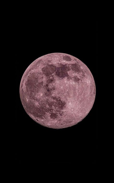 Pink Moon Wallpaper Aesthetic, Ipad Wallpaper Moon, Moon Pink Wallpaper, Light Pink And Black Aesthetic, Cute Moon Wallpaper, Iphone Moon Wallpaper, Pink Moon Aesthetic, Wallpaper Iphone Moon, Pink Dark Aesthetic