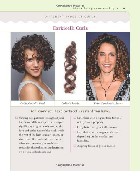 Curly Girl: The Handbook: Michele Bender, Lorraine Massey, Deborah Chiel: 9780761156789: Amazon.com: Books Botticelli Curls, Lorraine Massey, Homemade Lotions, Different Types Of Curls, The First Kiss, Wavy Curls, African American Hair, Curly Girl Method, Types Of Curls