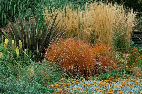 Granitic Sand, Plants Combination, Torch Lily, Low Maintenance Landscaping Front Yard, Full Sun Garden, New Zealand Flax, Fall Borders, Landscape Borders, Drought Tolerant Landscape