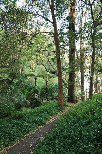 Cremorne Point to Mosman Walk, Sydney.  ** I used to live at Cremorne Point and did this walk regularly. ❤ Cremorne Point Sydney, Mosman Sydney, Beautiful Pathways, Spring Vision Board, Moving To Australia, Photo Shoot Location, Happy Married Life, Birmingham England, Plant Seeds