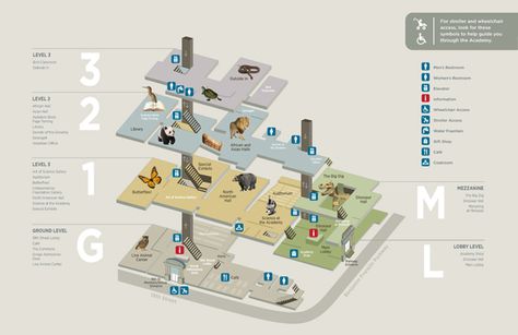 Academy of Natural Science Floor Plan Floor Map Design, Museum Map Design, Building Map Design, Museum Map, Museum Flooring, Hospital Signage, Wayfinding Signage Design, Museum Exhibition Design, Building Map