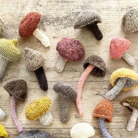 ingrid on Instagram: "All knitted mushrooms together. Wish you a good weekend. #breien #knitting #stricken #yarnlove #makerofthings #ingthings" Knitted Mushroom, Knit Mushroom, Knitted Bunny, Knitting Patterns Toys, Good Weekend, A Fairy Tale, Diy Knitting, Christmas Knitting, Fairy Tale