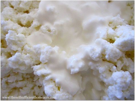 Sour Milk Recipes, Make Cottage Cheese, Making Cheese At Home, Corn Free Recipes, Homemade Cottage Cheese, Sour Milk, Cheese Making Recipes, Farm Cheese, Goat Milk Recipes