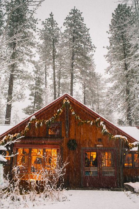 Leavenworth Washington is the COOLEST Bavarian style town. These are all the best, most unique Leavenworth Airbnbs & cabins for your vacation! My favorite is the... A Cabin In The Woods, Leavenworth Washington, Treehouse Cabins, Christmas Getaways, Cabin Aesthetic, Christmas Place, Cabin Christmas, Winter Cabin, Cabin Living