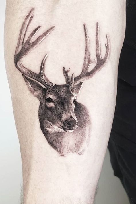 Realistic Deer Tattoo, Antler Drawing, Deer Hunting Tattoos, Buck Tattoo, Deer Head Tattoo, Outdoor Tattoo, Deer Tattoo Designs, Stag Tattoo, Hunting Tattoos