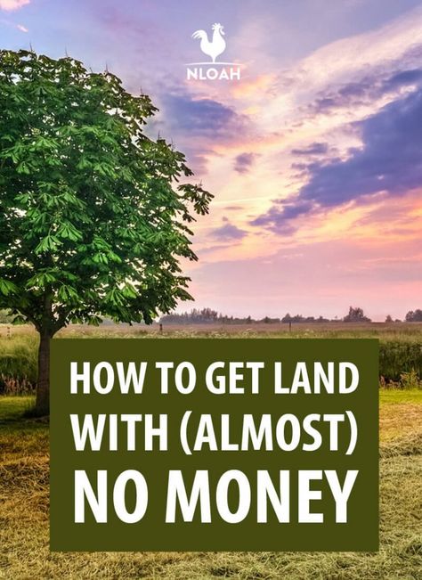 If you're dreaming to get land so you can start homesteading, there are ways you can get land for very little money. #survivalsullivan #homesteading #land #realestate Making Money Off Your Land, Land Buying Tips, How To Make Money Homesteading, How To Start A Homestead With No Money, Start Homesteading, Conversation Ideas, Homestead Land, Homestead Hacks, Winter Preparedness