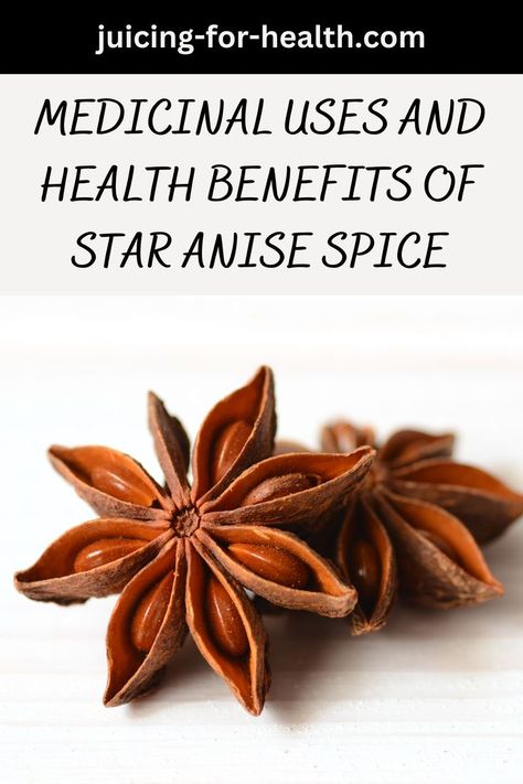 MEDICINAL USES AND HEALTH BENEFITS OF STAR ANISE SPICE Anise Tea Benefits, Star Anise Benefits, Star Anise Tea, Chinese Five Spice Powder, Chinese Star, Anise Seed, Star Food, Herbal Healing, Juicing For Health