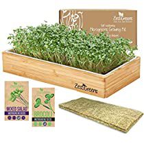 Check this out on Amazon Microgreens Garden, Microgreens Growing, Growing Wheat Grass, Growing Wheat, Vegetables For Babies, Cabbage Seeds, Creative Landscaping, Micro Greens, Growing Microgreens