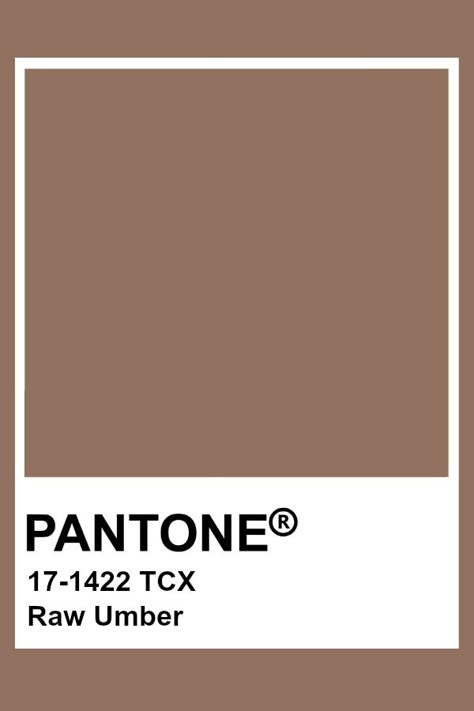 Pantone Raw Umber Pantone Swatches Brown, Raw Umber Color Aesthetic, Pantone Colors Brown, Light Brown Pantone, Earthy Collage, Pantone Brown, Beige Pantone, Umber Color, Brown Pantone