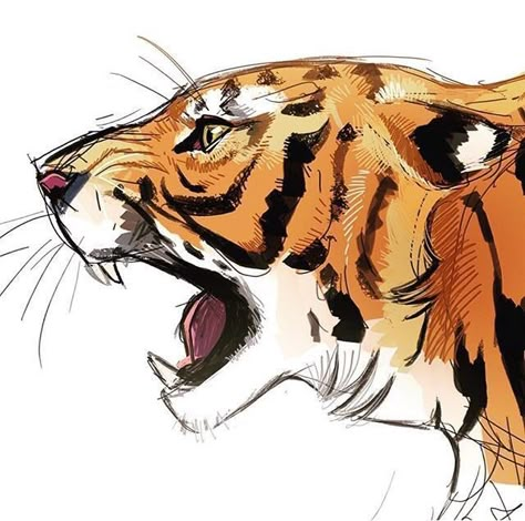 Tiger Drawing, Animal Drawings Sketches, Big Cats Art, Tiger Art, Arte Sketchbook, Arte Inspo, Animal Sketches, Arte Animal, A Tiger