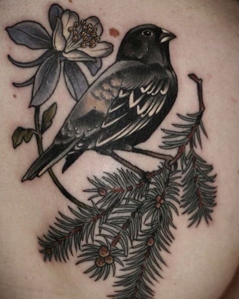 1,450 Likes, 10 Comments - Wonderland Tattoo (@wonderlandpdx) on Instagram: “#bluespruce #lark bunting and #columbine #flower by Kirsten Holliday @onholliday #audubon…” Colorado Symbols, Spruce Tattoo, Columbine Flower Tattoo, Lark Bunting, Tattoos Photo, Columbine Flower, Christmas Tattoo, Wonderland Tattoo, Make Tattoo