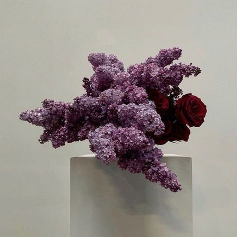 Lisa Cooper, Vertical Garden Plants, Deiji Studios, Christmas Image, Modern Flower Arrangements, Instagram Gift, Tissue Paper Flowers, Bouquet Arrangements, Flower Therapy