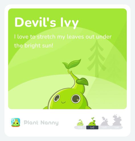 Do you have your own Devil's Ivy? I am so excited to drink water and watch it grow!  #plantnanny #plantnannyapp #sparkful Install Plant Nanny: https://sparkful.pse.is/4z4wdc Plant Nanny, Devils Ivy, Watch It, Nanny, Drinking Water, So Excited, Ivy, Plants, Water