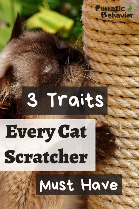 Make Cat Scratching Post, Diy Kitty Scratching Post, Diy Cat Scratching Post How To Make, Scratching Post For Cats Diy, Cat Scratcher Diy Scratching Post, Homemade Cat Scratcher, Wood Cat Scratcher, How To Keep Cats From Scratching Furniture, How To Make A Cat Scratching Post