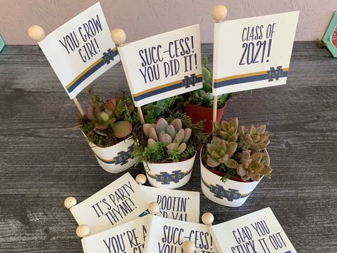 "Sport your Class of 2022 graduate's school colors and insignia on their graduation party favors with these darling succulent plants tucked into our premium cart stock paper wraps with a matching plant pun flag tag.  Commemorate the school they just graduated from or the university they'll be attending.  Great for 8th Grade Grads, Middle, High School and College graduation parties!  Customized to school colors and/or insignia.  Includes a flag tag with plant puns related to graduating, school, S Aesthetic Grad Party, Grad Favors, Green Graduation Party, Succulent Party Favors, Grad Party Favors, College Grad Party, Backyard Graduation Party, Senior Graduation Party, Flag Tag