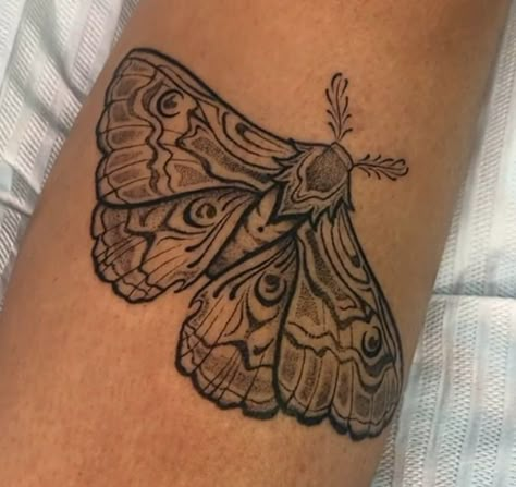 Black Witch Moth Tattoo, Blue Moth Tattoo, Witch Moth Tattoo, Skull Moth Tattoo, Black Witch Moth, Traditional Tattoo Artwork, Traditional Moth, Witch Moth, Traditional Moth Tattoo