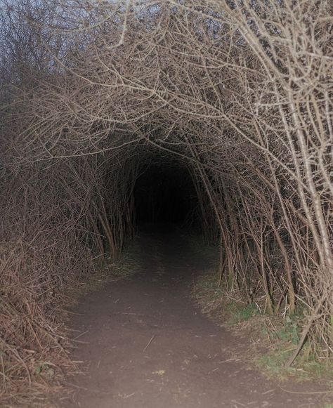 Liminal Spaces on Twitter: "… " Weirdcore Aesthetic, Dreamcore Weirdcore, Strange Places, Scary Places, Weird Dreams, Abandoned Places, In The Woods, Surrealism, Forest