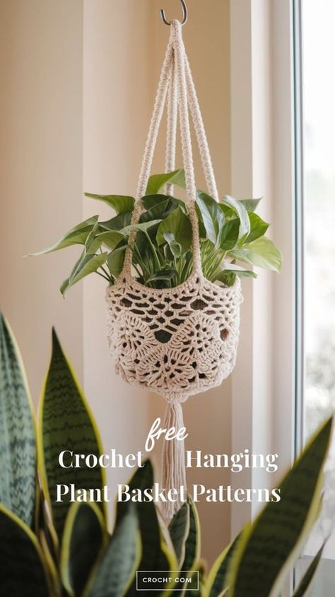 Crochet hanging plant baskets using these free patterns for a fun and functional project. A great way to elevate your plant display Crochet Hanging Basket Plant, Crochet Pattern Hanging Plant, Crochet For Plant Lovers, Diy Crochet Plant Hanger, Plant Hangers Crochet, Crochet Flower Pot Hanger, Crochet Hanging Plant Holder Pattern, Crochet For Plants, House Crochet Ideas