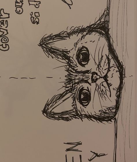 Rough Pen Sketches, Rough Sketches Doodles, Sketch Cat, Rough Sketches, Cat Pen, Pen Doodles, Am Bored, Cat Doodle, Cat Sketch