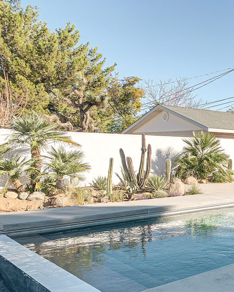 desert landscape design with pool and lush cacti garden Desert Pool Landscaping, Desert Pool, Desert Landscaping Backyard, Desert Landscape Design, High Desert Landscaping, Desert Backyard, Pool Landscape, Modern Desert, Backyard Pool Landscaping