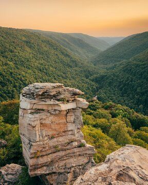 Blackwater Falls State Park, Blackwater Falls, Virginia Usa, West Virginia, State Park, Virginia, Giclee Print, Art