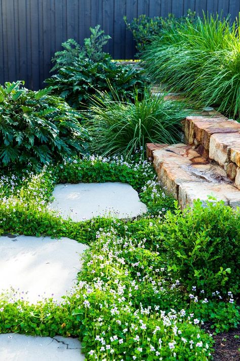 Sensitively attuned to its climate and outlook, this new sloping garden in coastal NSW is well set to survive and thrive. Garden On A Slope, Sloping Garden, Australian Native Garden, Garden Stepping Stones, Sloped Garden, Australian Garden, Garden Steps, Coastal Gardens, Native Garden