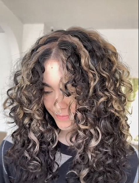 Skunk Hairstyle Curly Hair, Hair Dies Ideas For Curly Hair, Curly Skunk Highlights, Oreo Hair On Curly Hair, Dyed Highlights Curly Hair, Curl Dyed Hair, Bleached Streaks Curly Hair, Curly Hair Dye Highlights, Cute Hair Colors Natural