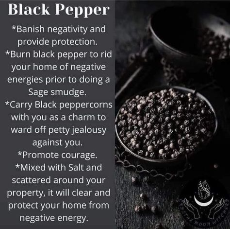 Magical Herbs Witchcraft, Kitchen Witch Recipes, Black Pepper Oil, Easy Love Spells, Magickal Herbs, Witch Herbs, Witch Spirituality, Magic Herbs, Magical Herbs