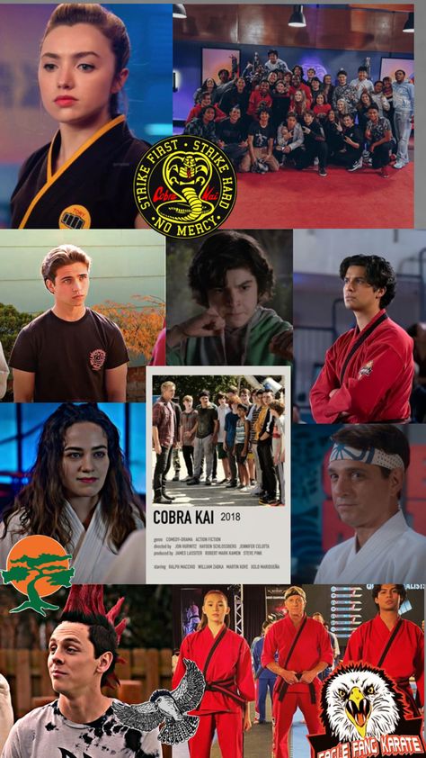 Cobra Kai wallpaper based off of the show Cobra Kai Wallpaper, Kai Wallpaper, William Zabka, Karate Kid Cobra Kai, Kid Cobra, Estilo Taylor Swift, Ralph Macchio, Miyagi, Karate Kid