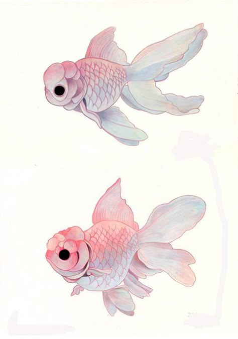 81. Art Mignon, Art Et Illustration, Dessin Adorable, 판타지 아트, Art And Illustration, Fish Art, Goldfish, Animal Illustration, Drawing Inspiration