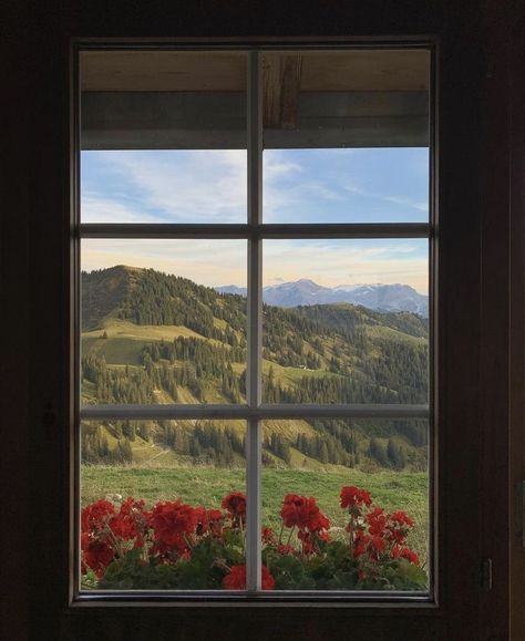 Cool Windows Architecture, Garden View From Window, Windows Down Aesthetic, Ultra Milk, Background Collage, Window Views, Window Plants, Art Photography Portrait, Big Windows