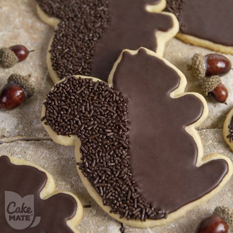 Check out this amazing Squirrel shaped Sugar Cookie coated in Chocolate! Some of our favorite squirrels are Rocket J. Squirrel (Rocky) from Rocky and Bullwinkle, and "Squirrel" (Dean) from Supernatural! How about it, Winchester boys? What do you think? :) Autumn Biscuits, Squirrel Cookies Decorated, Squirrel Cookies Royal Icing, Forest Animal Cookies, Woodland Animal Cookies Decorated, Woodland Royal Icing Cookies, Squirrel Sugar Cookies Decorated, Squirrel Cookies, Forest Animal Cookies Woodland Creatures