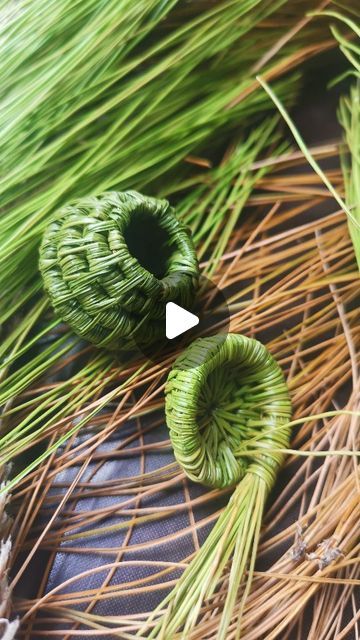 Pine Needles Baskets, Basket Tutorial, Pine Needle Baskets, Pine Needles, Weaving, On Instagram, Instagram