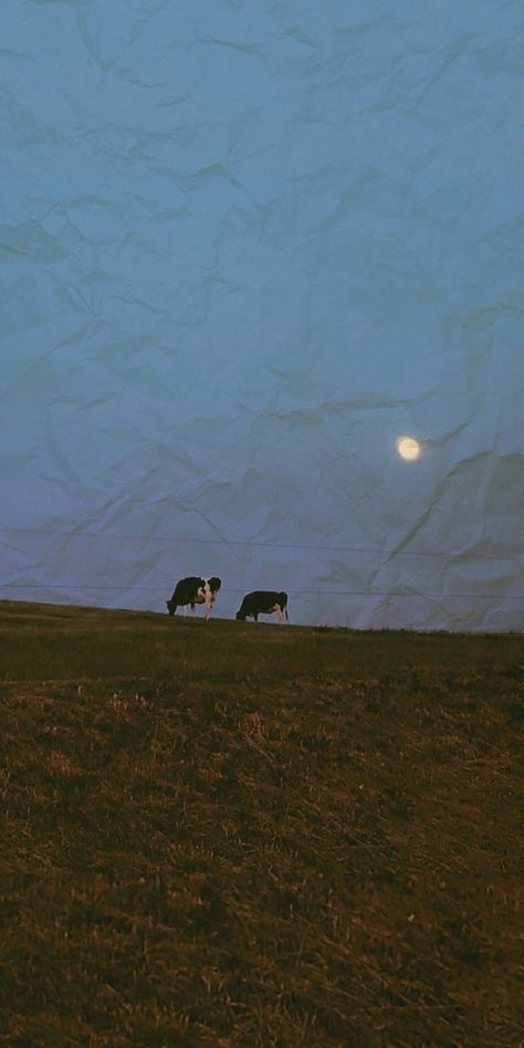 aesthetic wallpaper, cows under the moon Folk Aesthetic Wallpaper, Aesthetic Cow Wallpaper, Cow Aesthetic Wallpaper, Cow Wallpaper Aesthetic, Folk Aesthetic, Cow And Moon, Cow Wallpaper, Under The Moon, Favorite Animal