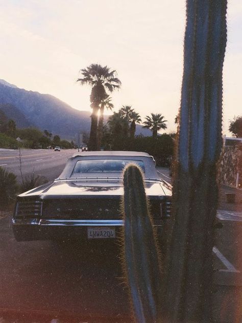 Desert Grunge, 1960s Aesthetic, Palm Springs Aesthetic, 60s Aesthetic, West Coast California, Desert Aesthetic, Auto Retro, California Vibe, Palm Springs California